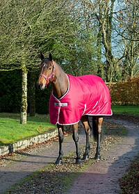 Bucas Freedom Stable 300g 140 pers/​red 