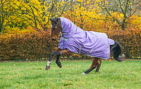 Bucas Freedom TO 150/​150 FN purple 155 
