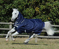 Freedom Turnout light Full Neck  