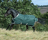 Green-​Line Turnout 100g  