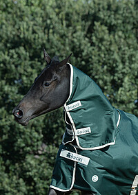 Greenline Neck 155/​XL green/​cream 