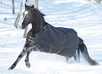 Bucas Irish Turnout extra 100 black/​gold