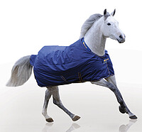 Bucas Irish Turnout extra 135 navy/​gold 