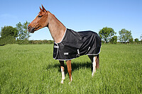 Bucas Jubiläumsdecke Silk-​Feel 155 200gr