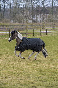 Bucas Pony Irish Turnout light black 120