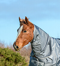 Bucas Smartex Combi Neck S iron 