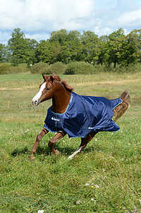 Bucas Smartex Extra Big Neck blau 165 cm