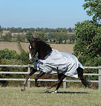 Bucas Sun Shower 115 silver 