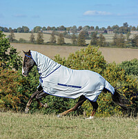 Bucas Sweet-​itch 125 silver  