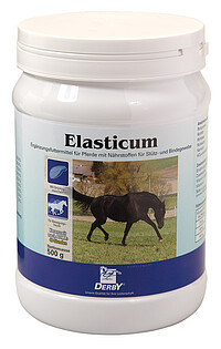 Elasticum  