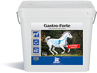 Derby Gastro Forte 5kg  