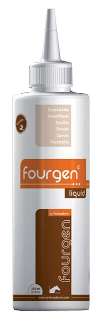 Fourgen  
