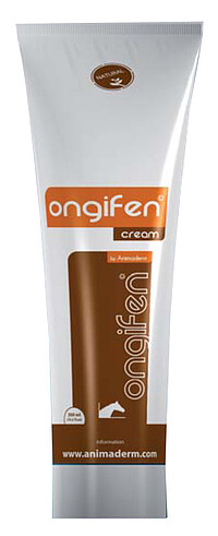Ongifen  