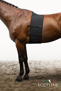 Equiline Schutzgurt Quintin schwarz  