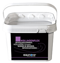 Kollagenflex 