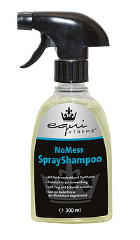 No Mess Spray Shampoo  