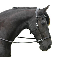 F.​R.A Dandy Side Pull schwarz Cob (RL) 