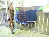 Deckenhalter Apfelgrün 