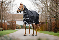 Amigo 1200D Integrated Turnout 150g  