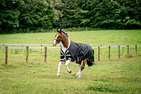 Amigo 1200D Turnout 0g 