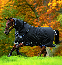 Amigo Bravo 12+ Turnout 250g black/​blue  