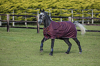 Amigo Hero ACY lite 145cm 