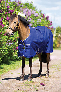 Amigo Hero ACY Pony T/​O Med 80 blue/​ivor 