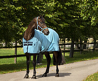 Amigo Stable Sheet 