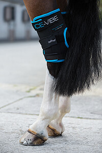 Horseware Ice Vibe Hock Wrap Full Neu  