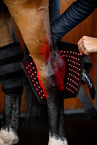 LED RED LIGHT Hock Boots  