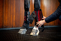 LED RED LIGHT Therapy Leg Wraps 