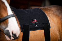 LED RED LIGHT Therapy Pad  