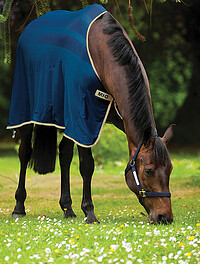 Mio Skrim Cooler 140 cm, navy/​tan  