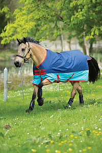 Mio Turnout Lite 125cm 