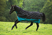 Mio Turnout lite black türkis 135cm (RL) 