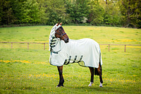 Rambo Hoody  