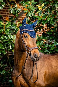 Signature Ear Net 