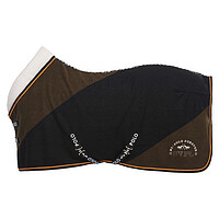 HV Polo Abschwitzdecke Hyden 145 army 