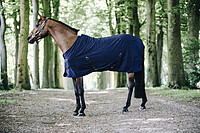 Cotton Sheet 145 navy 