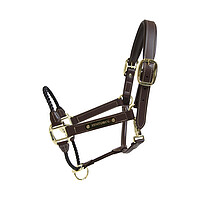 Lederhalfter Rope  