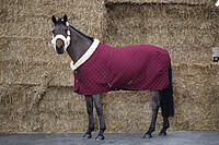 Show Rug 160g *  