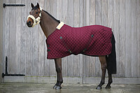 Stable Rug 400g bordeaux 125  