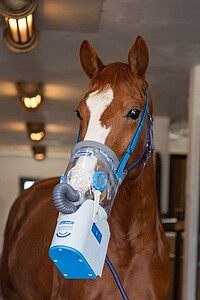 Akku-​Ultraschall-​Inhalatorset AirOne  