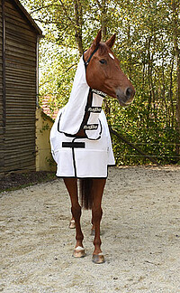 Fliegendecke RugBe SuperFly FN, 135 