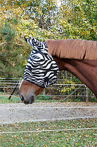 Fliegenschutzmaske Zebra P  