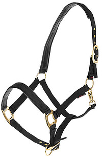 Halfter TopLine 