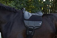 Reitpad AiRide  