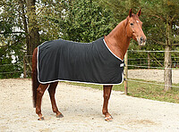 RugBe Fleecedecke Economic black 155  