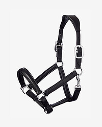 Anatomic Lederhalfer  