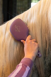 Le Mieux Tangle Tidy  